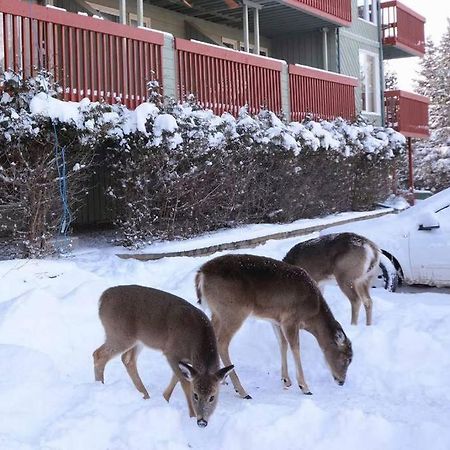 Condo Entier, Fully Equiped Pool And Spa Only In Summer Mont-Tremblant Eksteriør billede