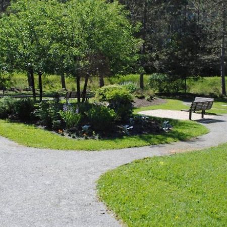 Condo Entier, Fully Equiped Pool And Spa Only In Summer Mont-Tremblant Eksteriør billede